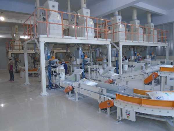 山東恒仁集團(tuán)現(xiàn)代化廠區(qū)全景圖